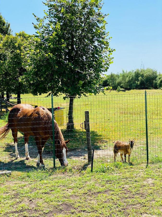 I Broletti Del Garda Hotell Pacengo Di Lazise Eksteriør bilde