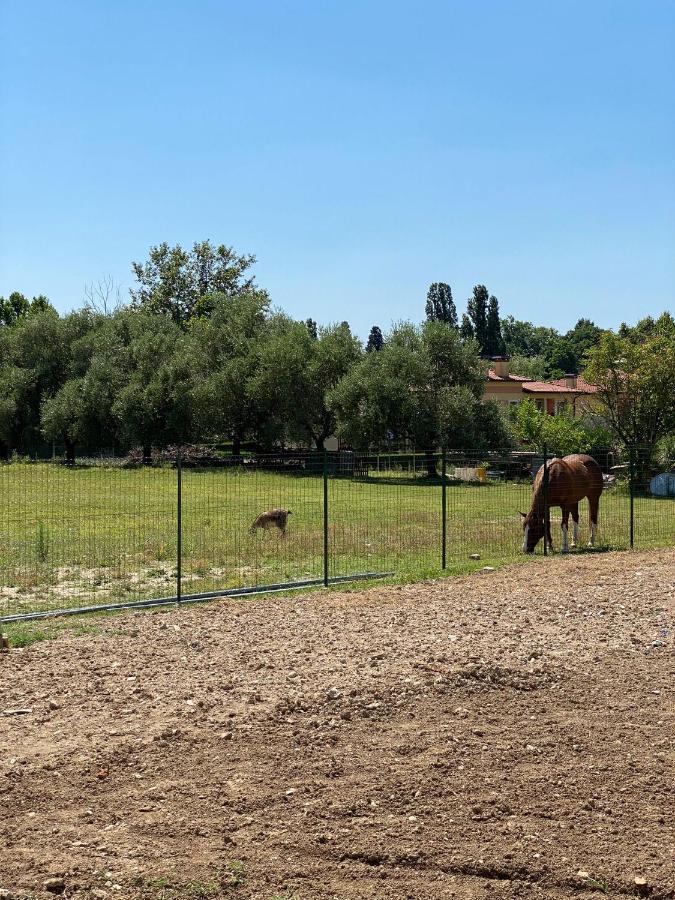 I Broletti Del Garda Hotell Pacengo Di Lazise Eksteriør bilde